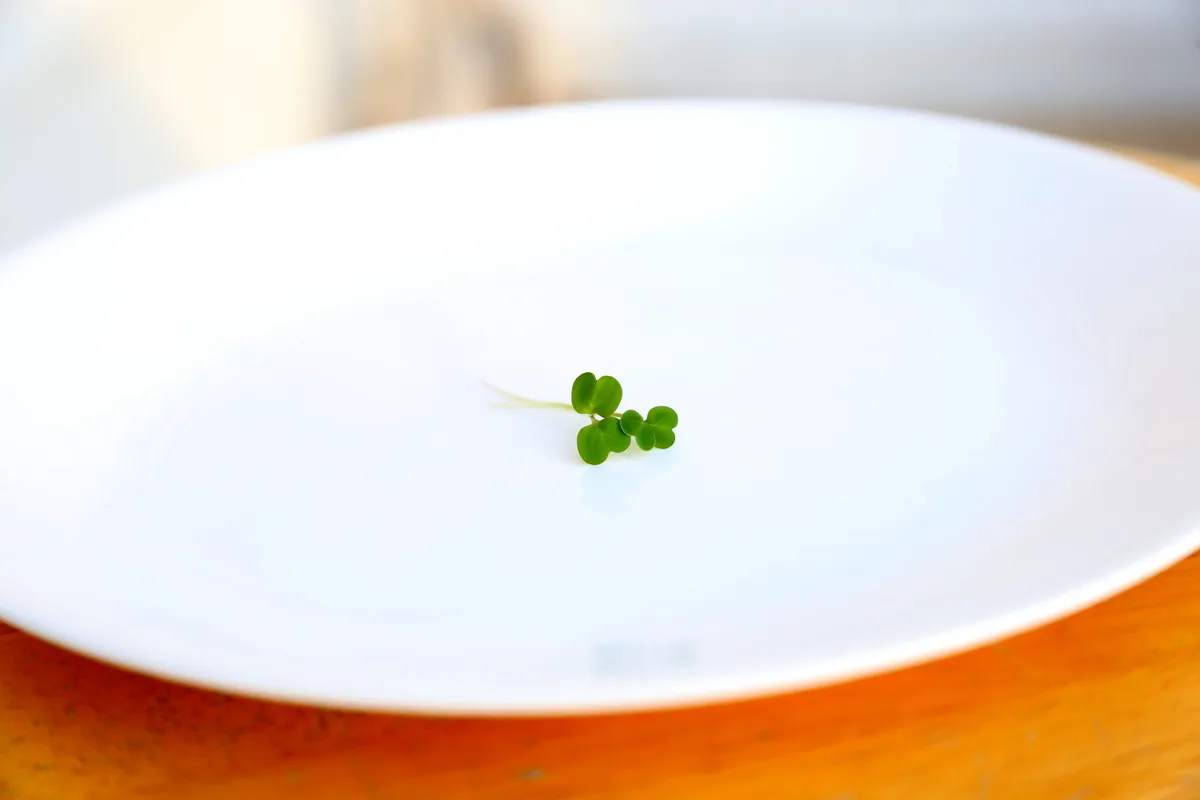 Delicate microgreen shoots on a white plate